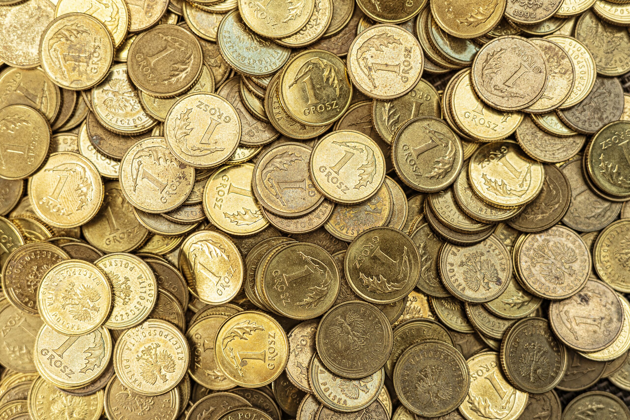 Home adverdesign polish currency 7340331